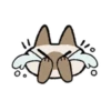 Kawaii Siamese 13