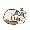 Kawaii Siamese 14