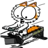 Willi Cat Sports 5