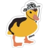 Pato caubói