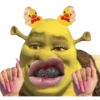 Patitos 14