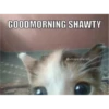 morning 13
