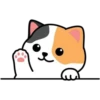 Gatito Calico_VR1 9