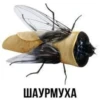 ШАУРМУХА