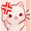 gatito :3 6