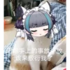 chaijun 12