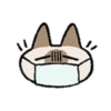 Kawaii Siamese 16