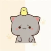 CATS :D 13