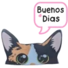 Gatito Calico_VR1 11