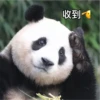 panda2 22