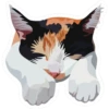 Gatito Calico_VR1 14