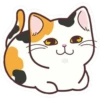 Gatito Calico_VR1 15