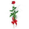 Happy Woman's day 5