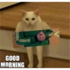morning 17