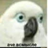 аче всмысле idaprikol.ru