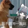 chaijun 16
