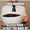 morning 20