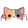 Gatito Calico_VR1 19