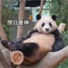 panda2 28