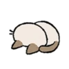 Kawaii Siamese 26