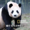 panda2 29