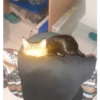 mocio 28