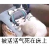 chaijun 18