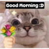 morning 24