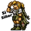 Metal slug 29