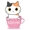 Gatito Calico_VR1 21