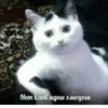 Нет слов адни эмоцыш