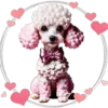 Perritos Tiernos ✺4🇻🇪 5