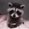 Cute_yoongi :: 5
