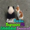 Dilo con Panditas🐼֍1🇲🇽Clásica 5