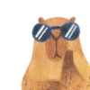 Mr. Capybara 5