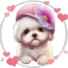 Perritos Tiernos ✺4🇻🇪 10