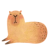 Mr. Capybara 6