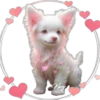 Perritos Tiernos ✺4🇻🇪 11