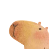 Mr. Capybara 7