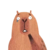 Mr. Capybara 8