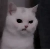 Cute_yoongi :: 8