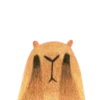 Mr. Capybara 9