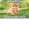 ЛЮДИ ДЕЛЯТСЯ НА ООООООЧЕНЬ МНОГО ЧАСТЕЙ