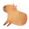 Mr. Capybara 10