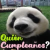 Dilo con Panditas🐼֍1🇲🇽Clásica 7