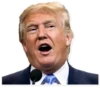 Donald Trump 6