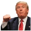 Donald Trump 7