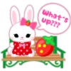 Strawberry & Rabbit❤🍓 8