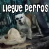 🧿Memes pop 2😎👌🏻 9