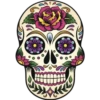 Día de los Muertos☠️🏵❥☯︎ͫ1🇲🇽Clásica 11